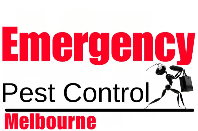 same day duct cleaning sunbury logo