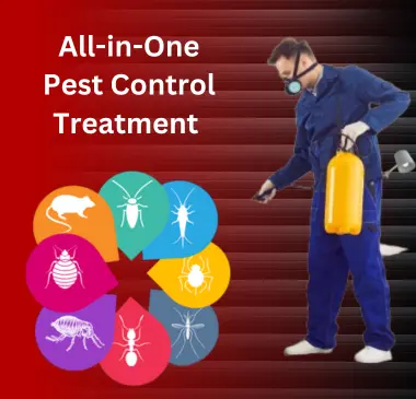 Pest Control Treatment